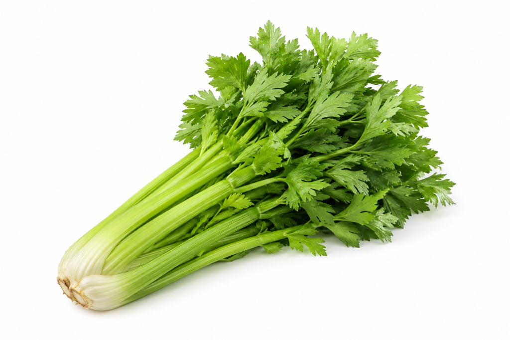 fenland celery (ইংল্যান্ড)